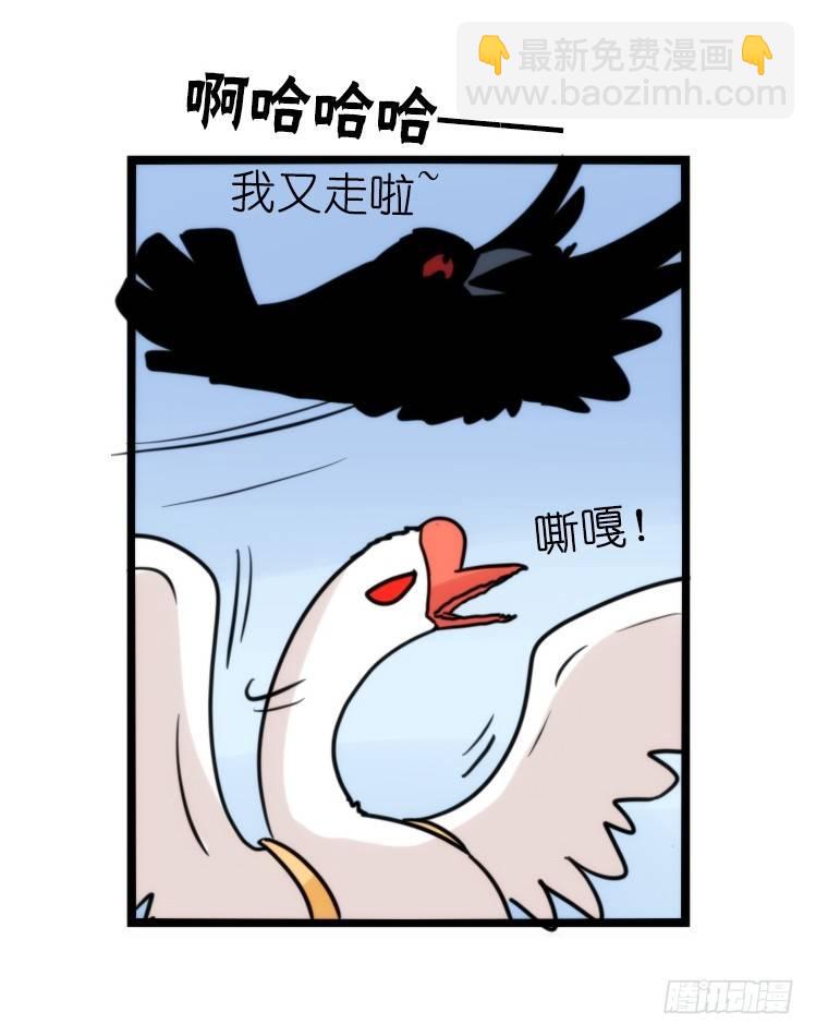 家有鹅霸：霸系鸟类巅峰对决-第68话