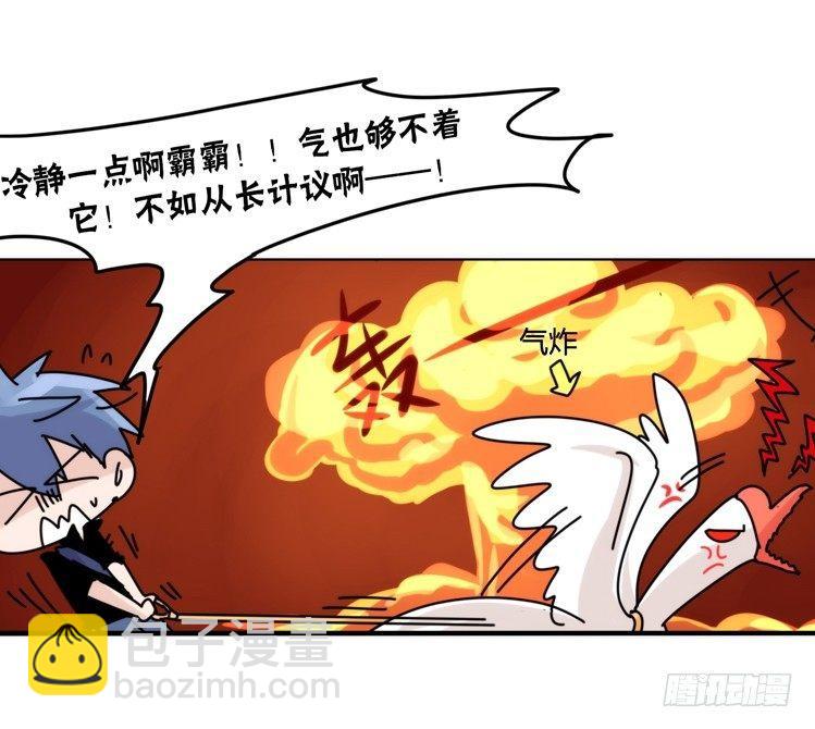 家有鹅霸：霸系鸟类巅峰对决-第68话