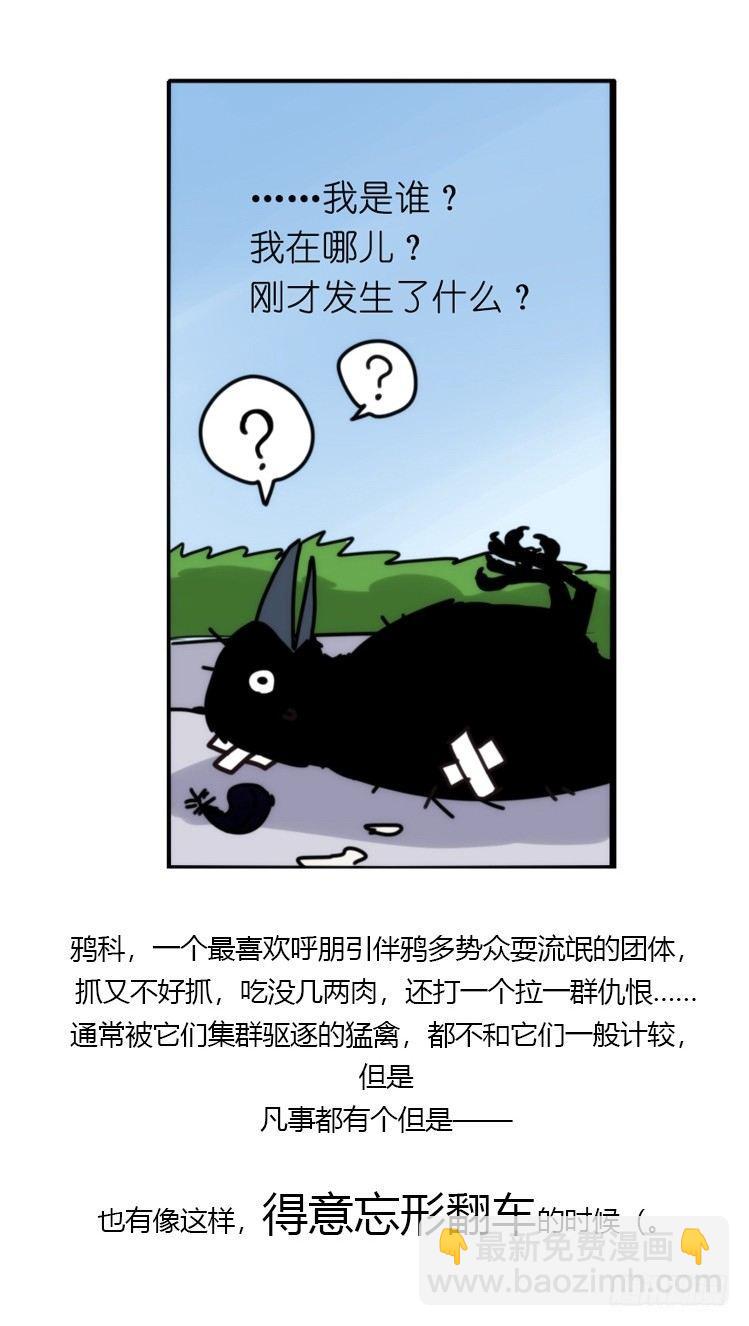 家有鹅霸：霸系鸟类巅峰对决-第68话