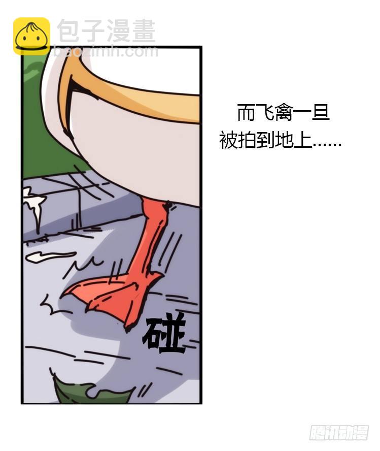 家有鹅霸：霸系鸟类巅峰对决-第68话