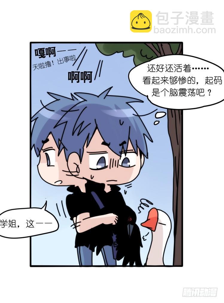 家有鹅霸：霸系鸟类巅峰对决-第68话