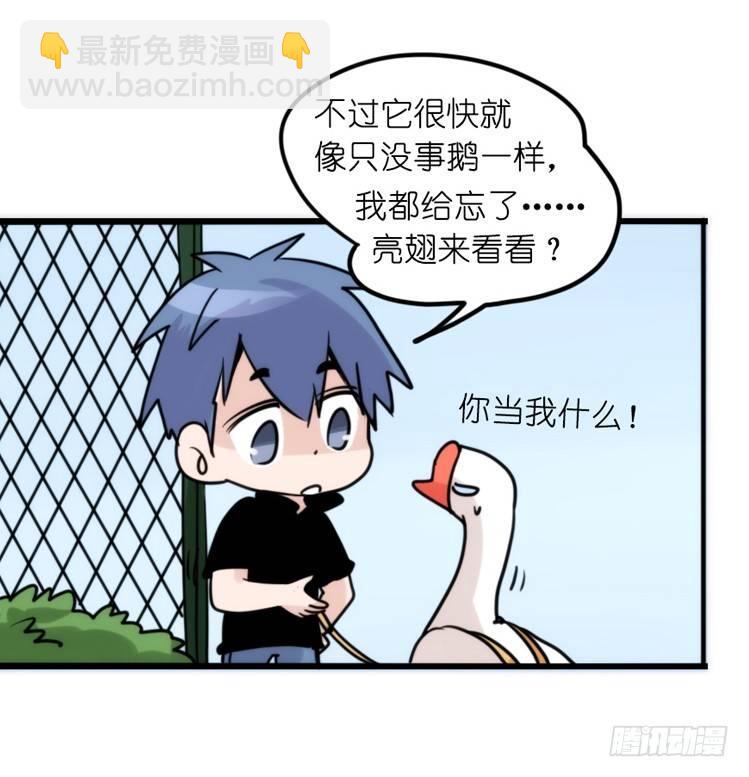 家有鹅霸：患难见真&hellip;&hellip;啥？-第70话