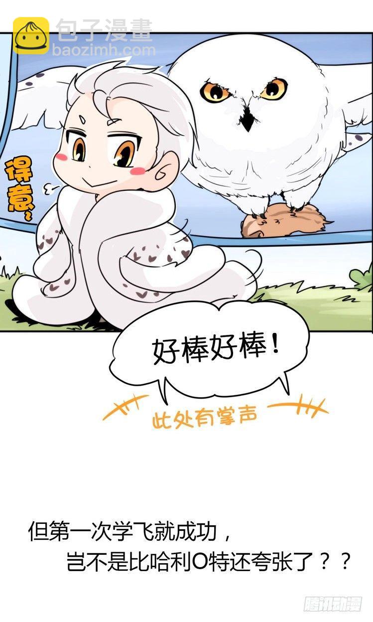 飞吧小少爷：上学去（上）-第8话