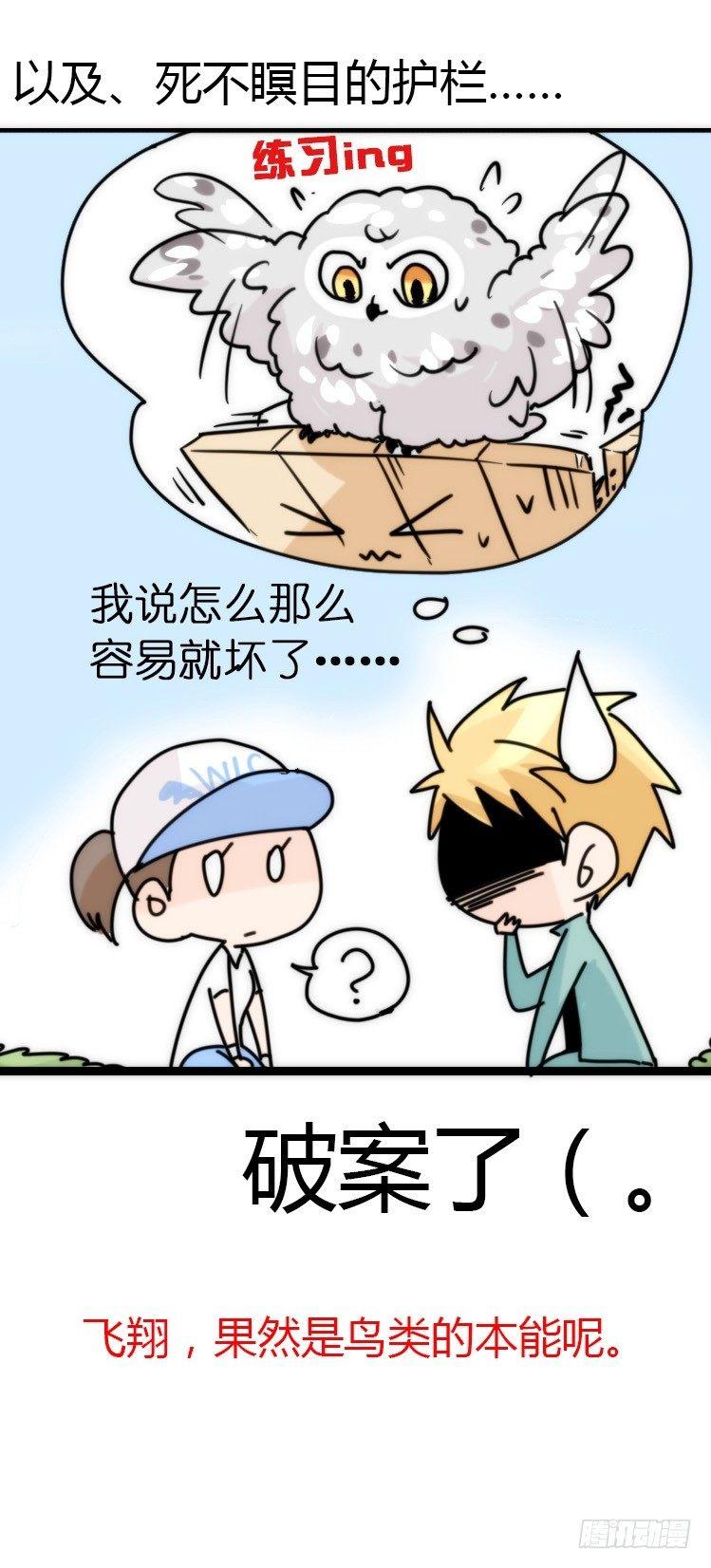 飞吧小少爷：上学去（上）-第8话