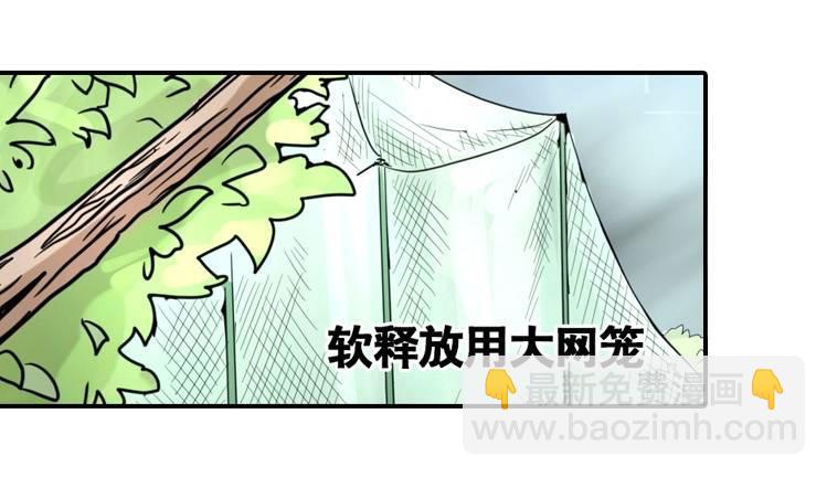 飞吧小少爷：上学去（上）-第8话