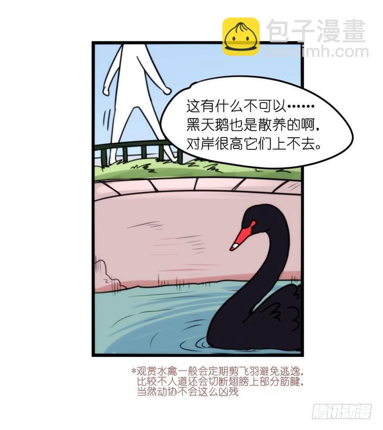 家有鹅霸：人类离开之后&hellip;&hellip;-第72话