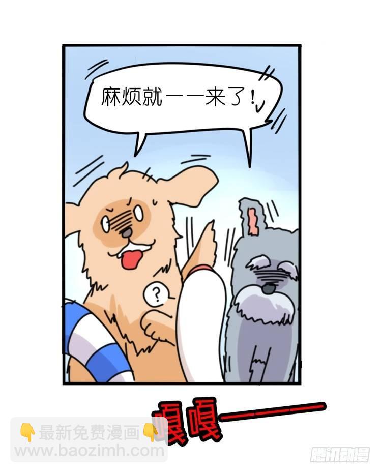 家有鹅霸：人类离开之后&hellip;&hellip;-第72话