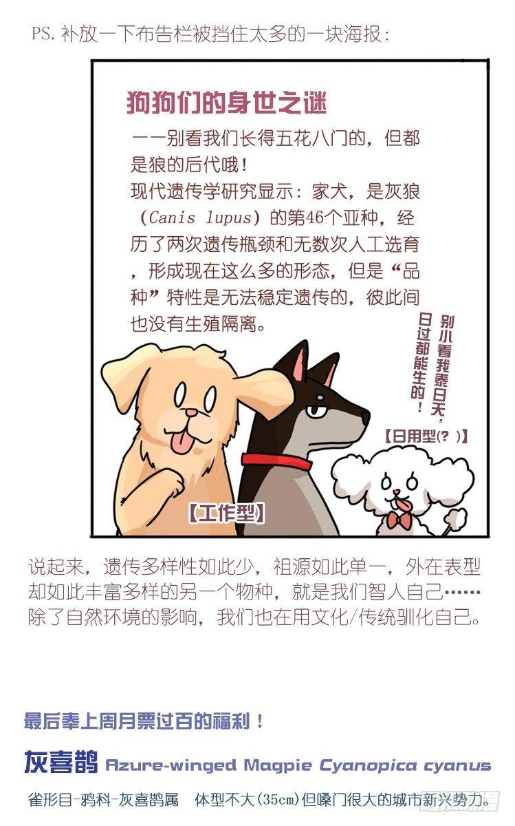 家有鹅霸：转场茶话会-第74话