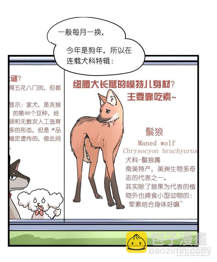 家有鹅霸：转场茶话会-第74话