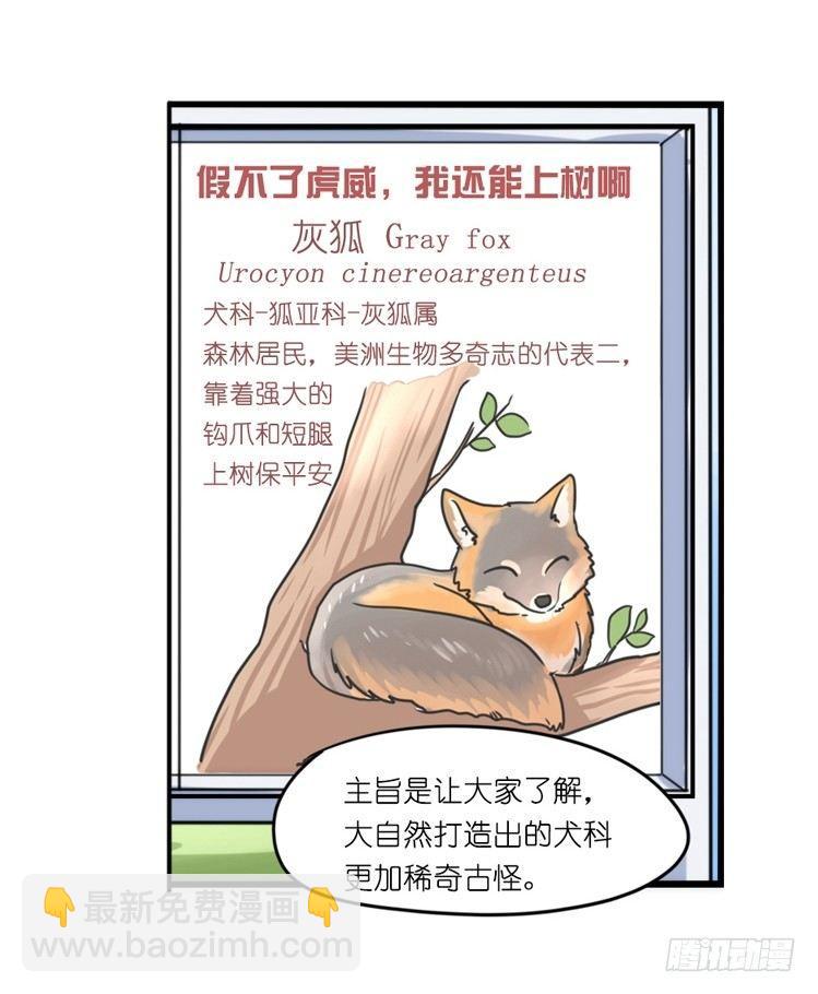 家有鹅霸：转场茶话会-第74话