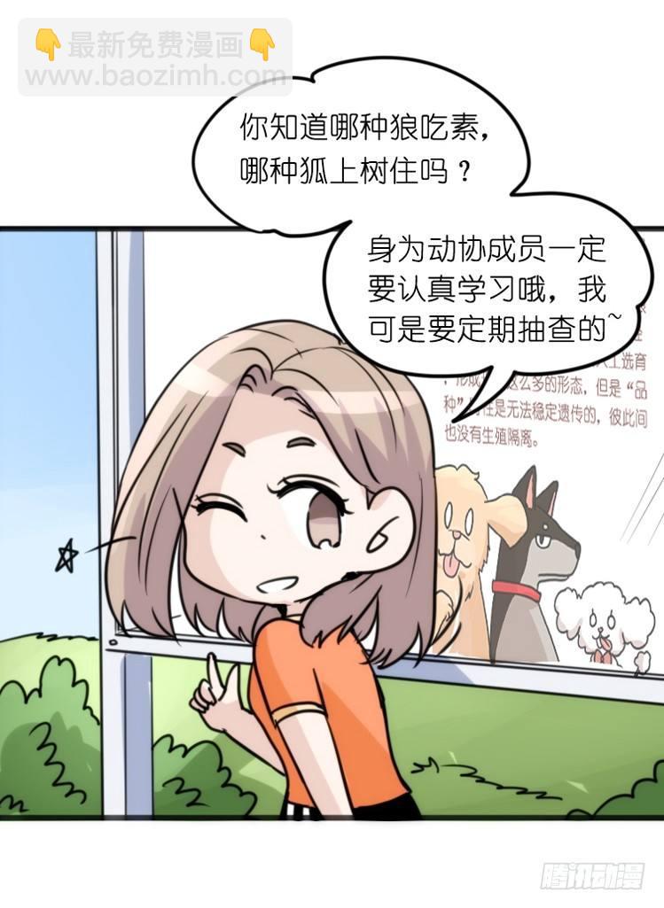 家有鹅霸：转场茶话会-第74话