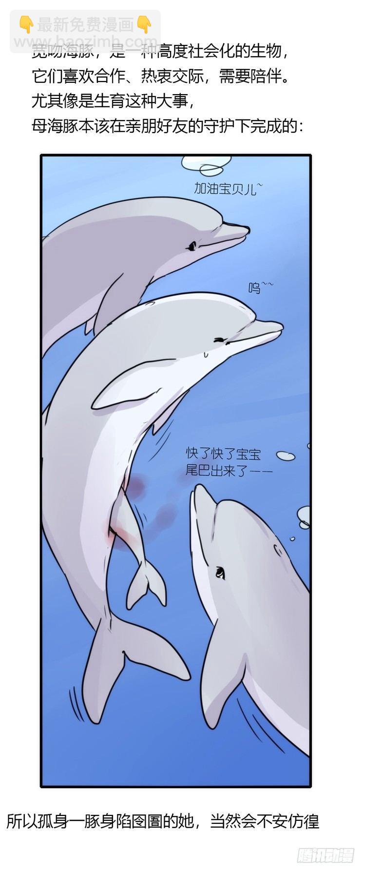 海洋精灵：苏的诞生-第76话