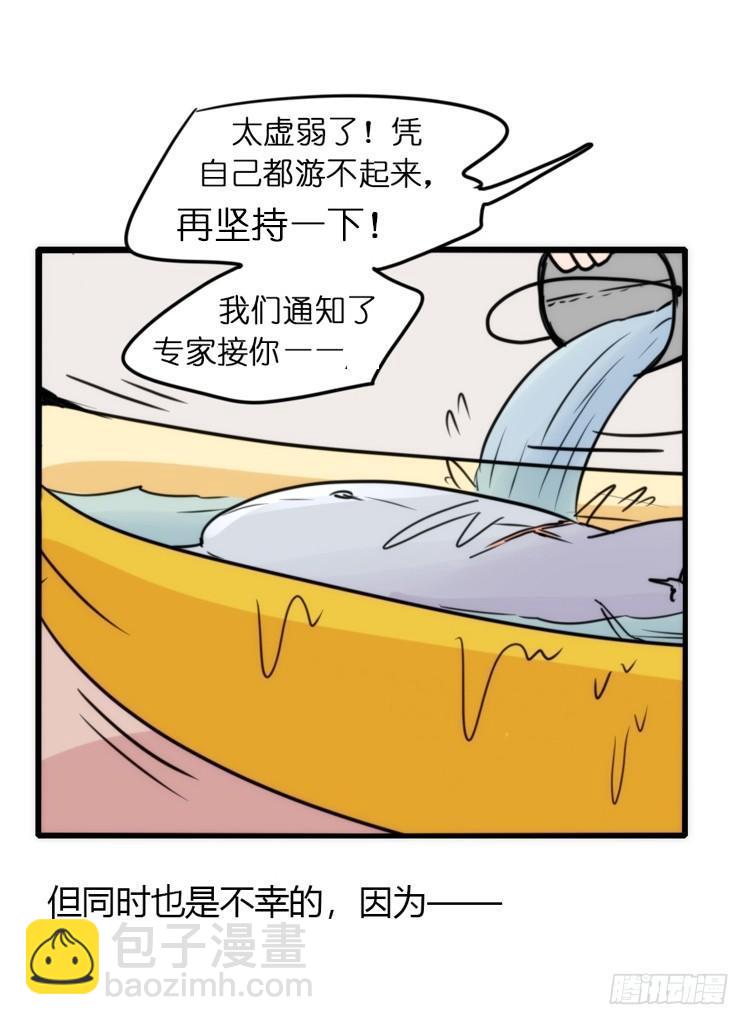 海洋精灵：苏的诞生-第76话