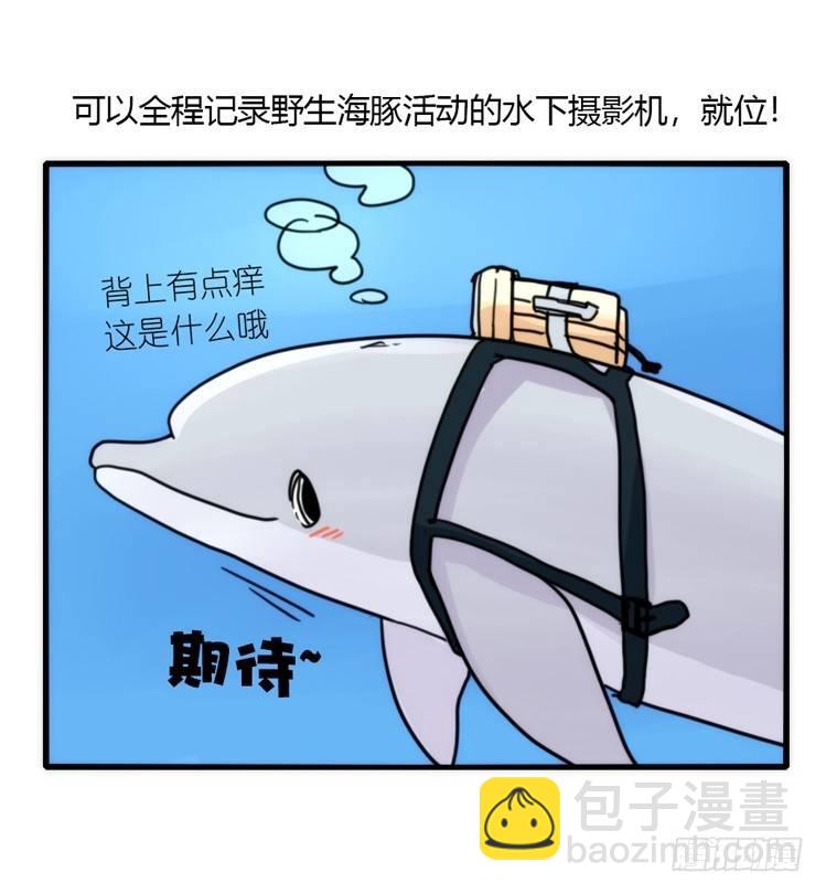 海洋精灵：目标是王牌____?!-第78话