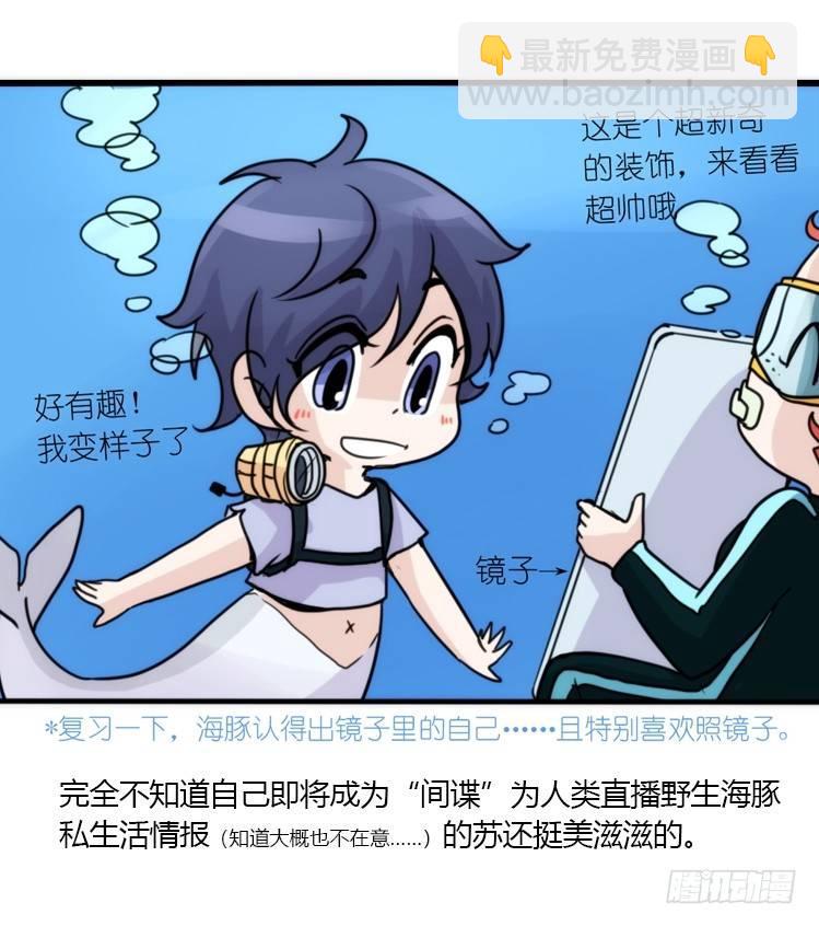 海洋精灵：目标是王牌____?!-第78话