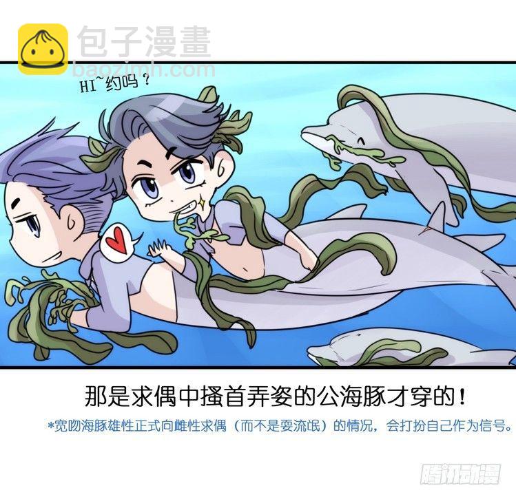 海洋精灵：目标是王牌____?!-第78话