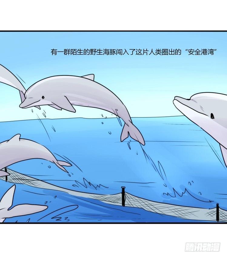 海洋精灵：目标是王牌____?!-第78话
