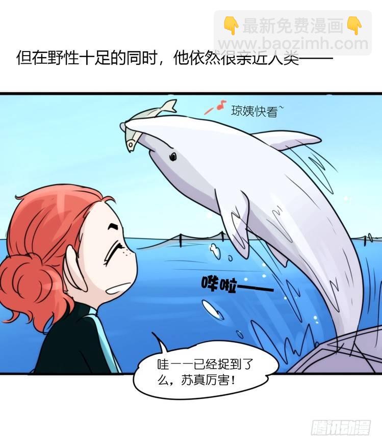海洋精灵：目标是王牌____?!-第78话
