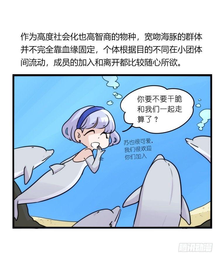海洋精灵：约好了！（+鹅霸剧场2-第82话