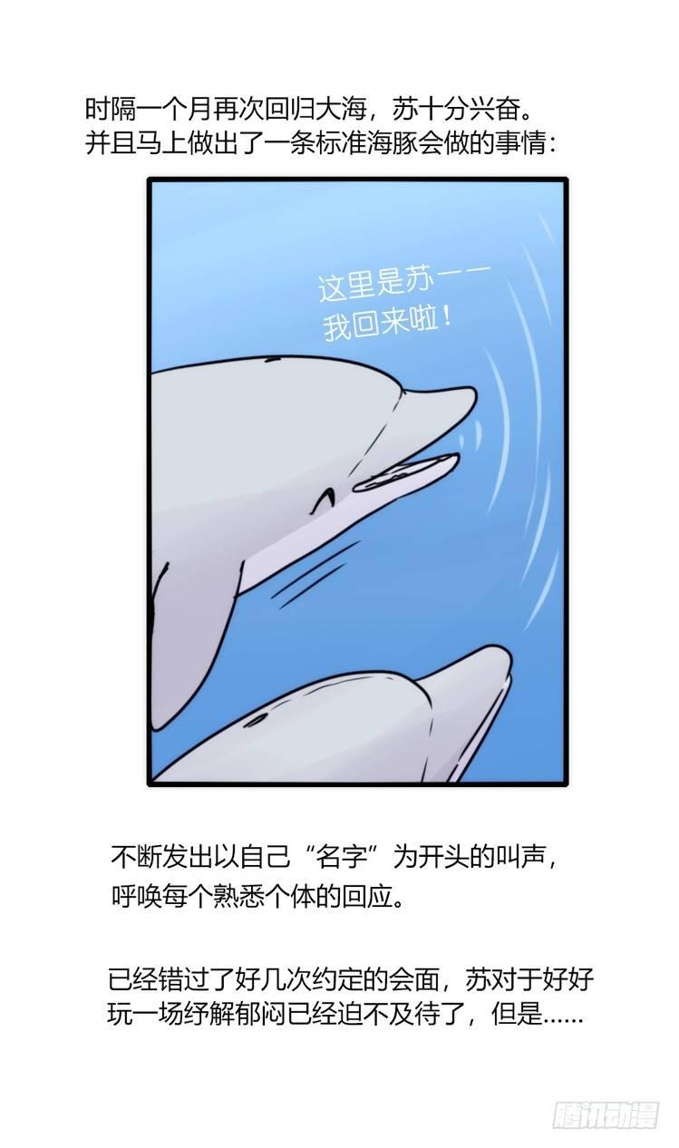 海洋精灵：约好了！（+鹅霸剧场2-第82话