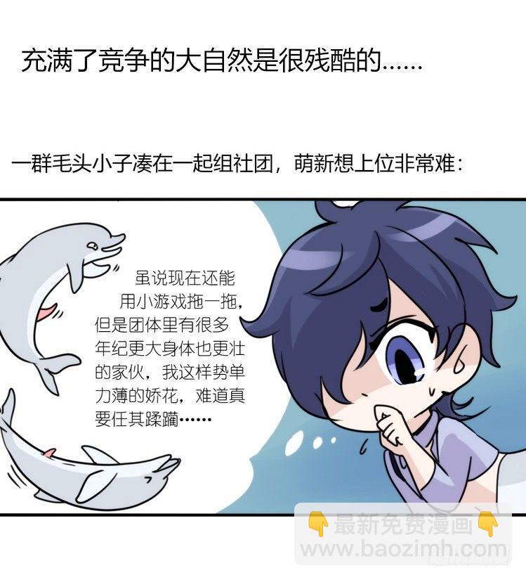 海洋精灵：心机BOY的崛起-第84话