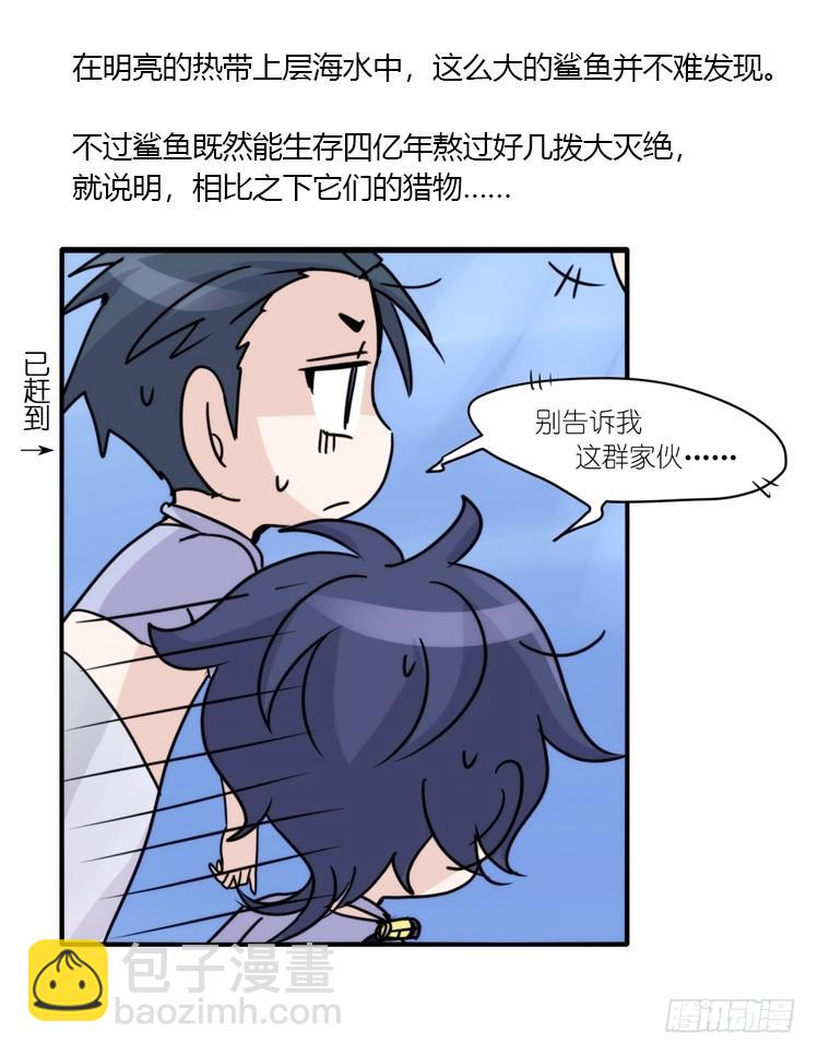 海洋精灵：大白鲨I-大片固定开头-第88话