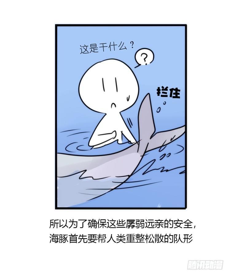 海洋精灵：大白鲨I-大片固定开头-第88话