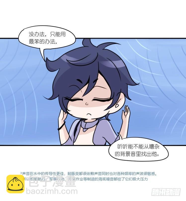 海洋精灵：大白鲨I-大片固定开头-第88话