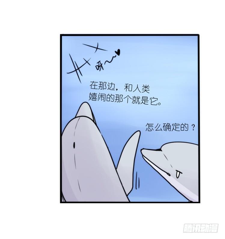 海洋精灵：大白鲨I-大片固定开头-第88话