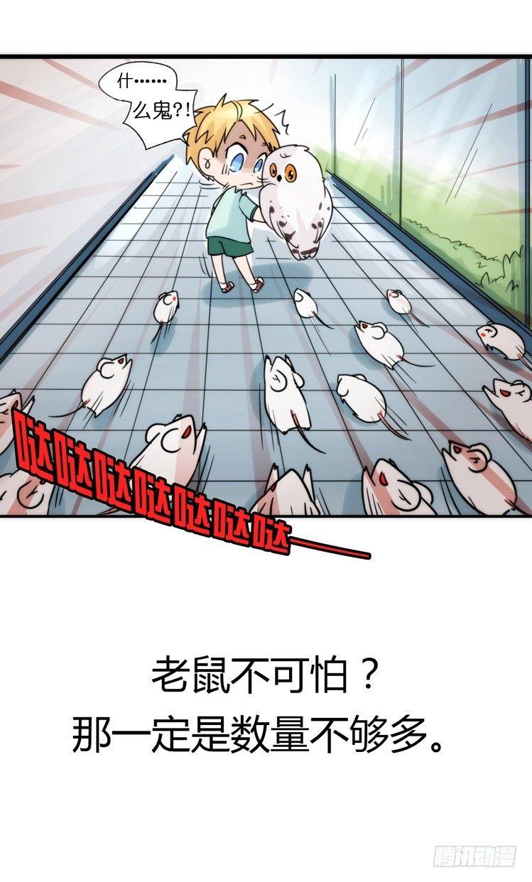 飞吧小少爷：减肥记-第10话