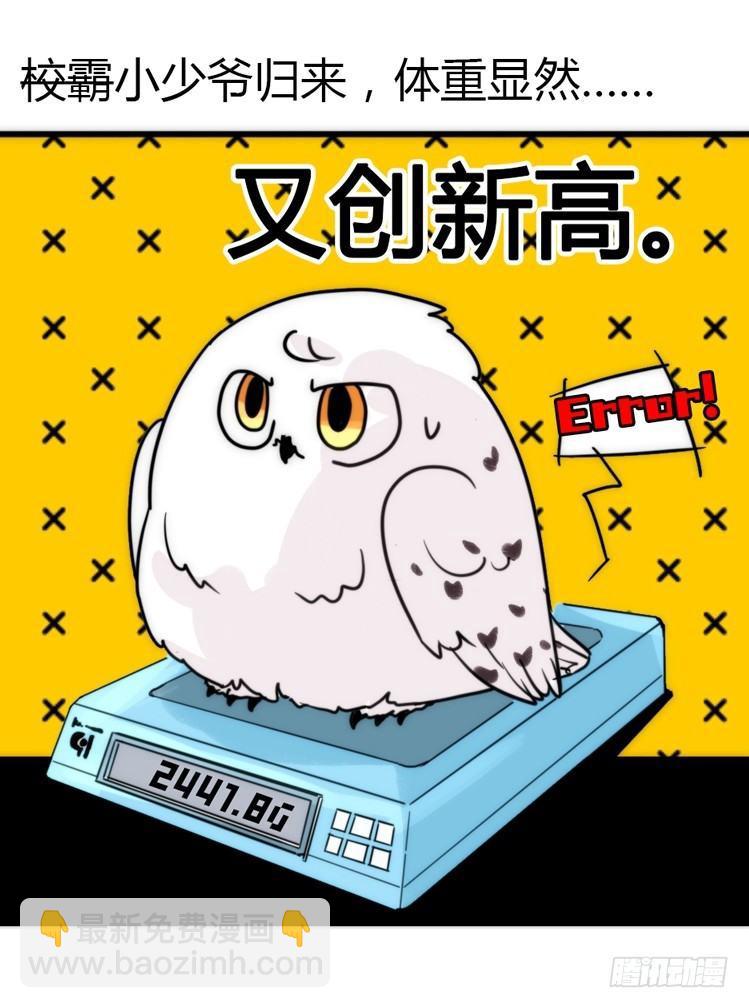 飞吧小少爷：减肥记-第10话