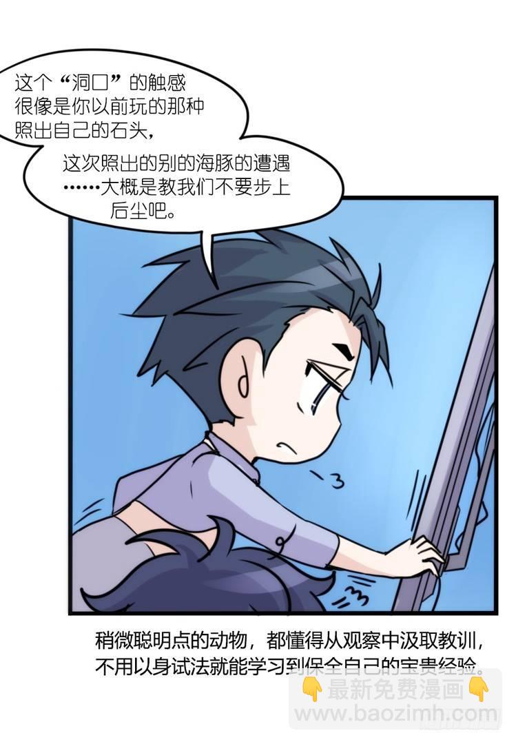 海洋精灵：大白鲨-反击战-上-第92话