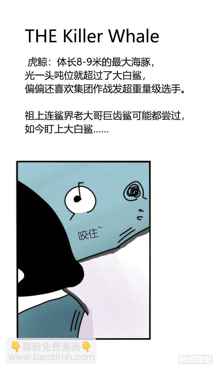 海洋精灵：大白鲨-反击战-上-第92话