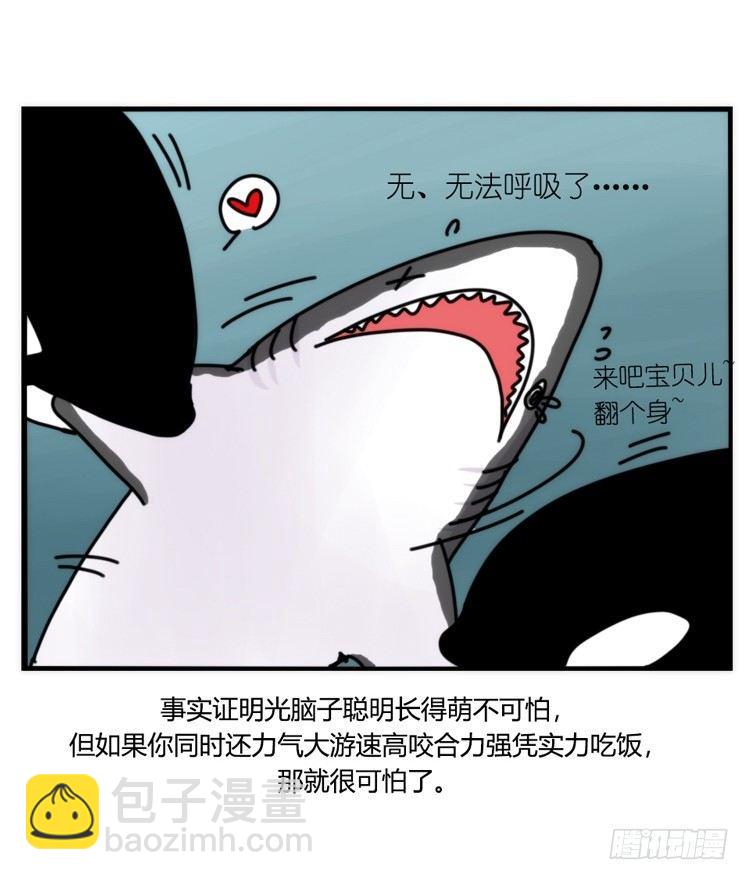 海洋精灵：大白鲨-反击战-上-第92话