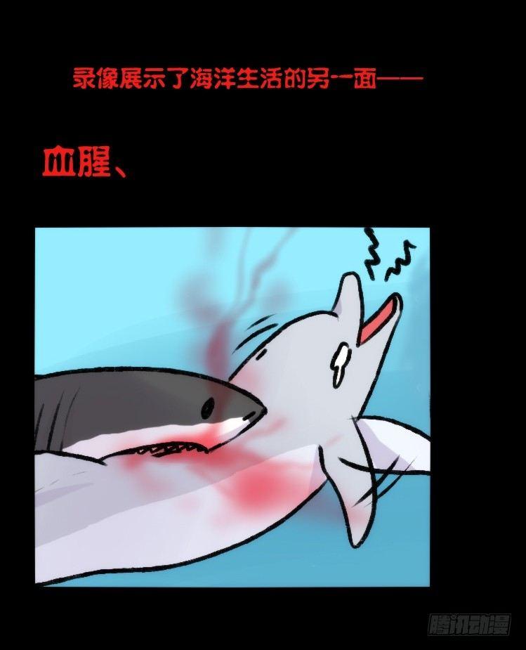海洋精灵：大白鲨-反击战-上-第92话