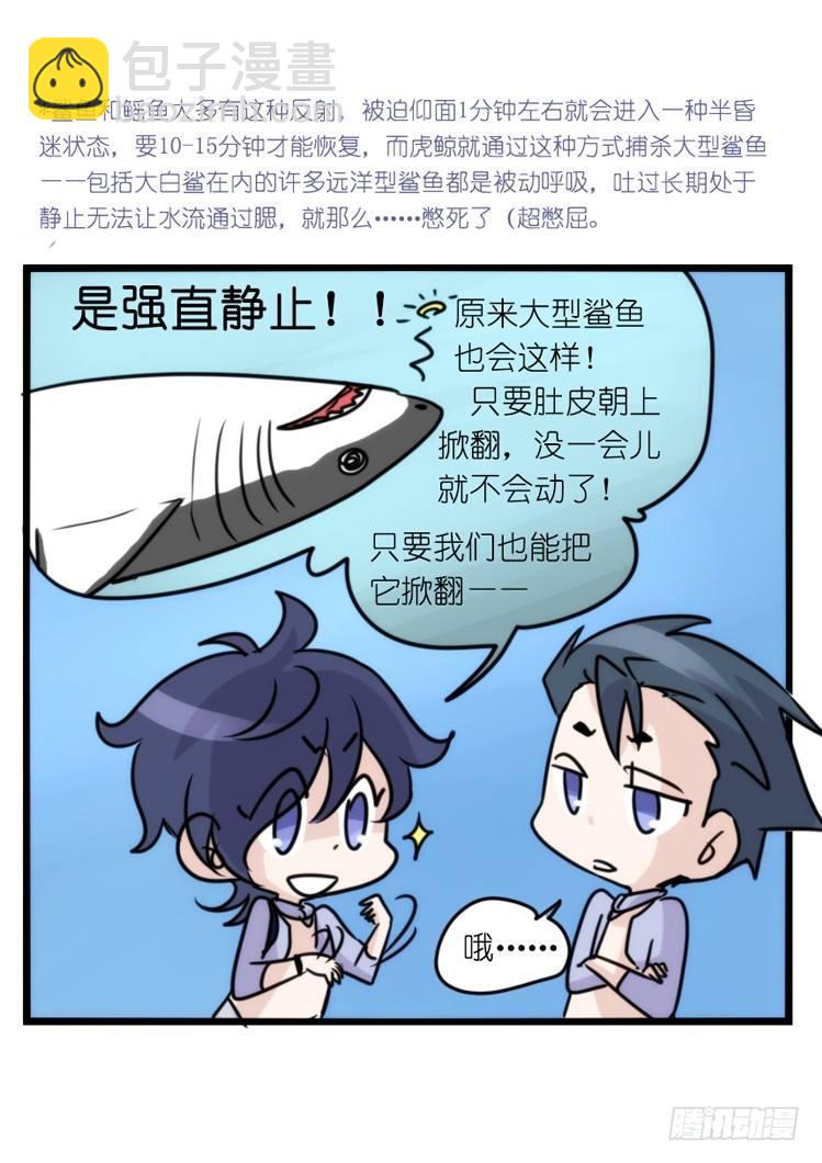 海洋精灵：大白鲨-反击战-上-第92话