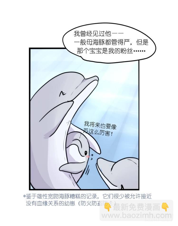 海洋精灵：大白鲨-反击战-上-第92话
