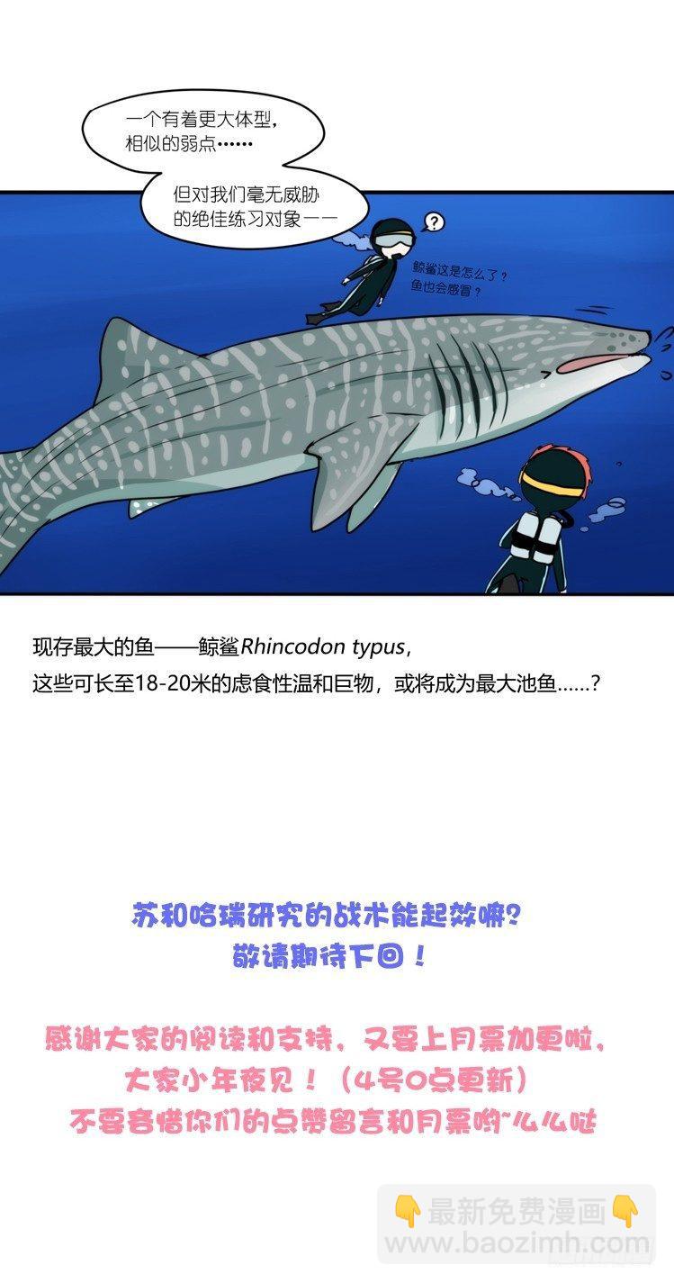 海洋精灵：大白鲨-反击战-上-第92话