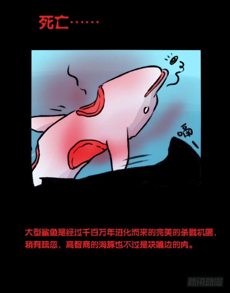 海洋精灵：大白鲨-反击战-上-第92话