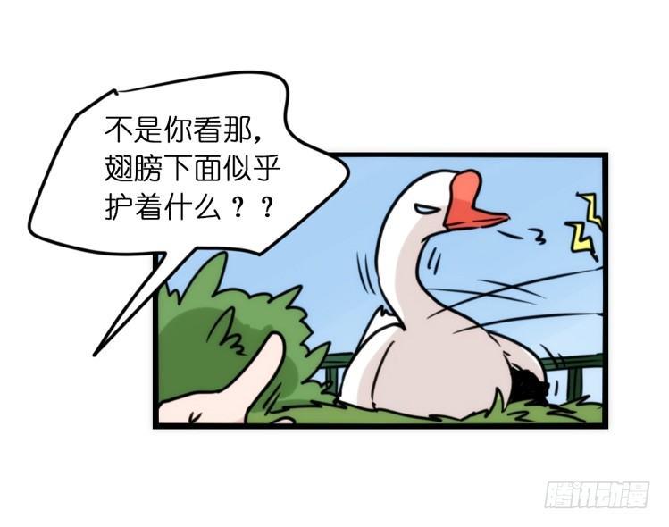 动协在行动01：鹅霸校园-第94话