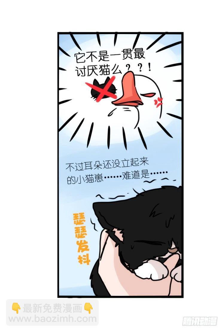 动协在行动01：鹅霸校园-第94话