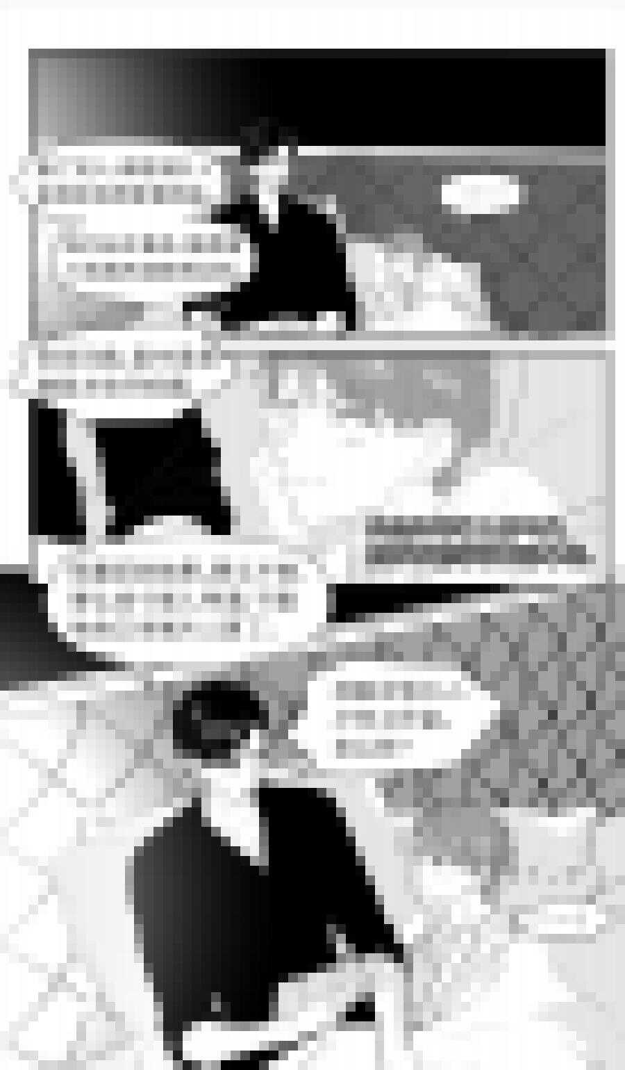 219 chap.33.5-第204话