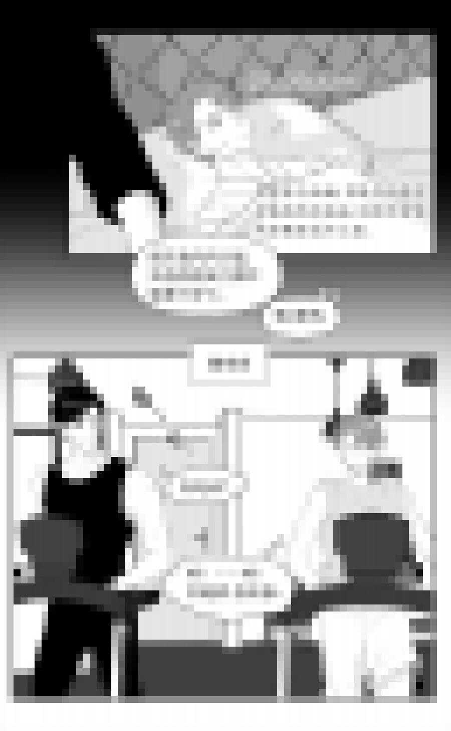 219 chap.33.5-第204话