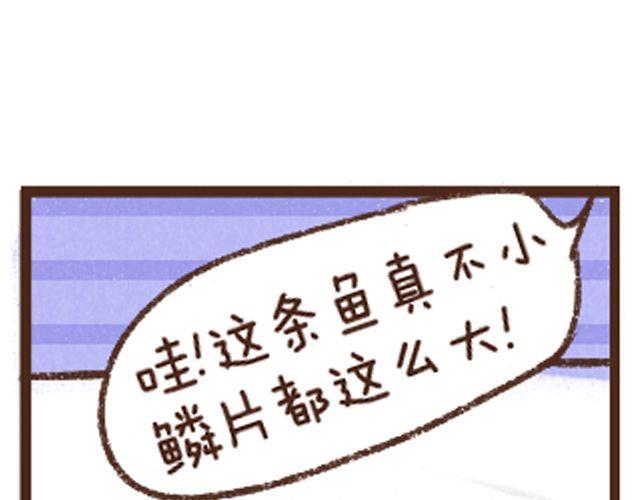 第12话 健康鱼鳞冻-第12话