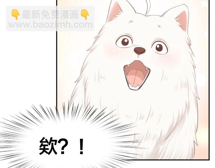 第40话 回到过去(1/3)-第42话