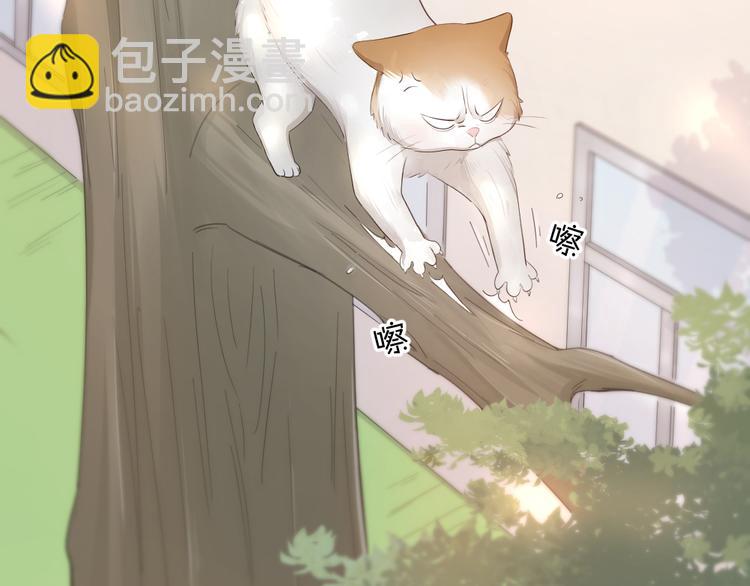 第61话 你会是我的主人吗(1/3)-第64话