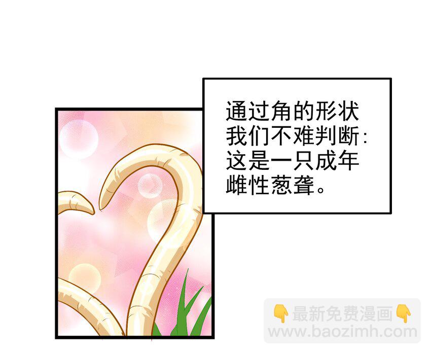 002 大型珍稀保护动物(1/2)-第4话