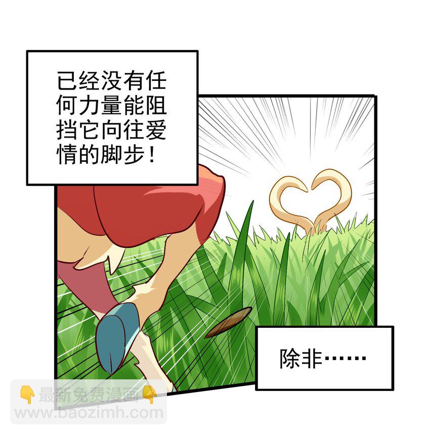 002 大型珍稀保护动物(1/2)-第4话