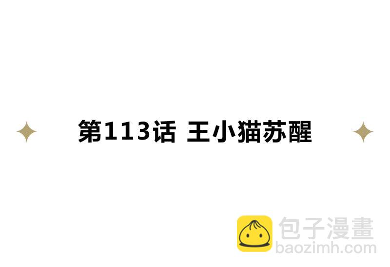 第113话 王小猫苏醒(1/2)-第116话