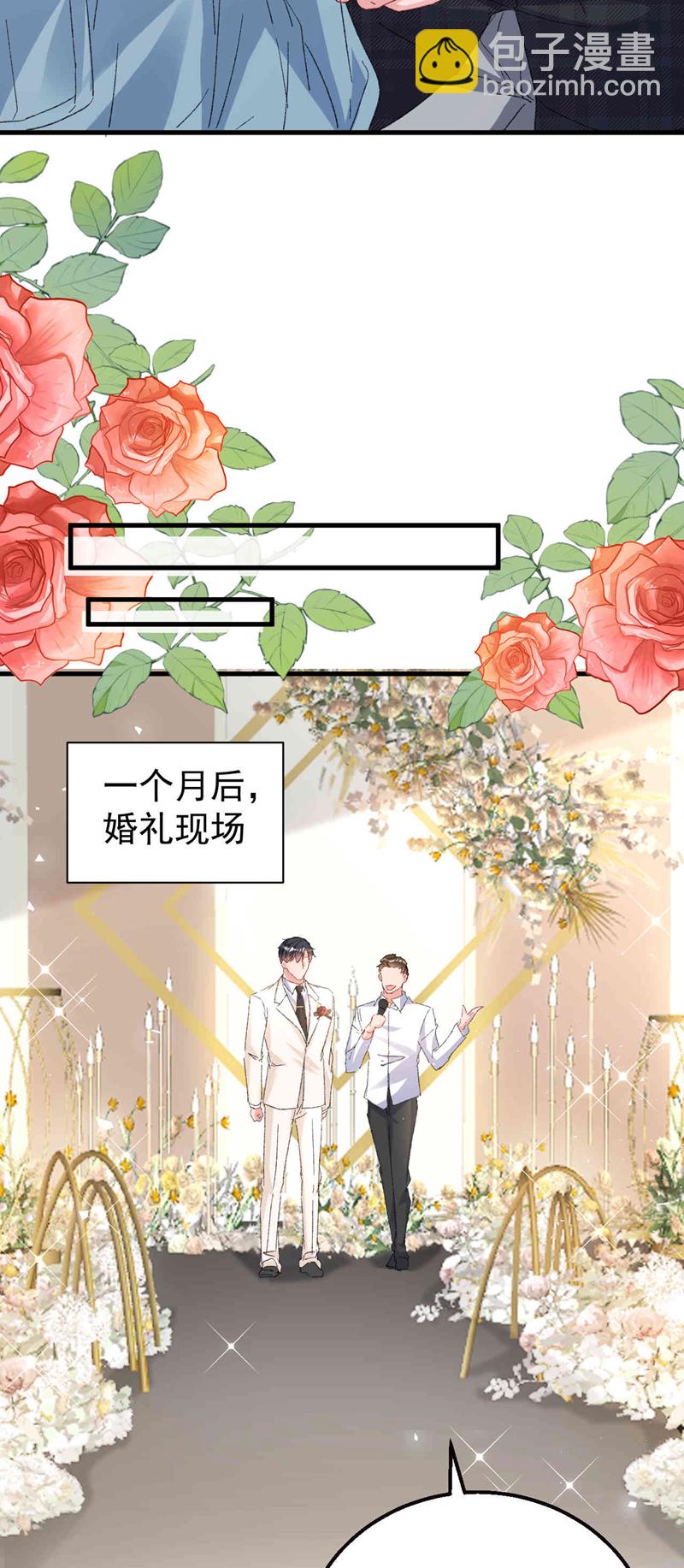 最终话 我们的婚礼(1/2)-第208话